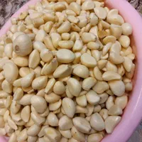 توزیع میوه و تره بار درکل شهر