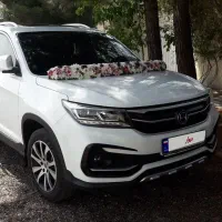 اجاره ماشین جهت مراسم عروسی و تشریفات|خودرو اجاره‌ای|قزوین, |دیوار