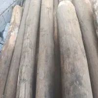 چوب سقف خانه بدون فرسودگی خیلی هم خوب|مصالح و تجهیزات ساختمان|شمیل, |دیوار