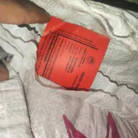 بذر گندم اوکراینی