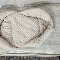 اغوشی. قنداق فرنگی
