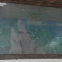 آکواریوم فروشی|ماهی|بیرجند, |دیوار