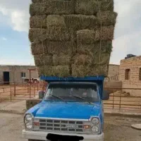 خریدار یونجه پرس خشک خالص|خدمات باغبانی و درختکاری|چالدران, |دیوار