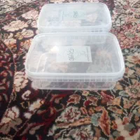ظرف فریزری