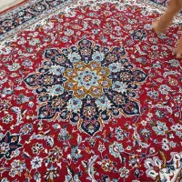 کوی علوی
