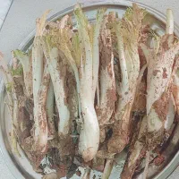 سلام کنگره شازند لرستان