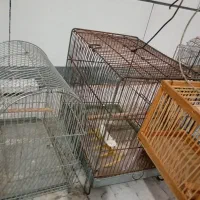 قفس سهره|لوازم جانبی حیوانات|اراک, |دیوار