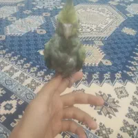 عروس هلندی گم شده