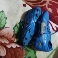 کفش|ورزش‌های توپی|قرق, |دیوار