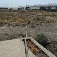 زمین کشاورزی نزدیک پالایشگاه نفت زال پارس|فروش زمین و ملک کلنگی|رضویه, |دیوار