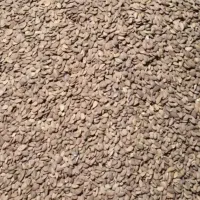 بادام مامای