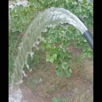 مقنی چاه کن حفاری چاه اب و فاضلاب زیر کشی ساختمان|خدمات پیشه و مهارت|تهران, شهرک غرب|دیوار