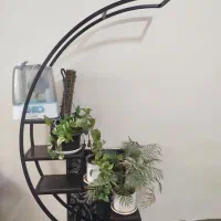 استند گل|گل و گیاه طبیعی|تهران, شهرک ولیعصر شمالی|دیوار