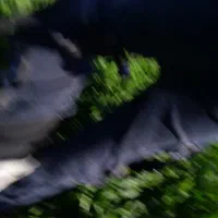 شلوار شافل بچه گانه