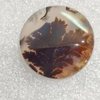 شجر کلکسیونی قاین|جواهرات|اصفهان, شهشهان|دیوار