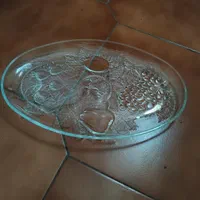 ظروف|ظروف پخت‌وپز|رشت, سعدی (تختی)|دیوار