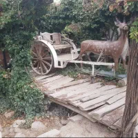 کالسکه عروس و داماد