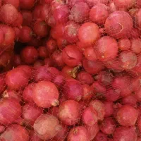 اب انار به صورت عمده و خرده|خوردنی و آشامیدنی|قم, قلعه کامکار|دیوار