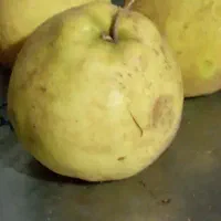 به زرد با تخفیف