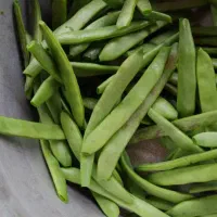 باقالا یادمون سس پله