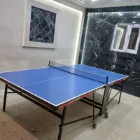 میز پینگ پنگ