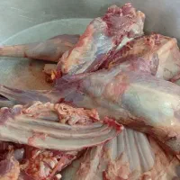 گوشت گوسفند|خوردنی و آشامیدنی|قرق, |دیوار