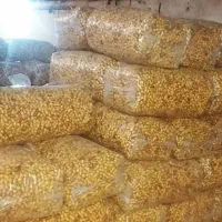 کارگاه بادام زمینی|حراج|بوکان, |دیوار