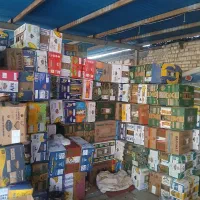 فروش کارتن موزی و انبه