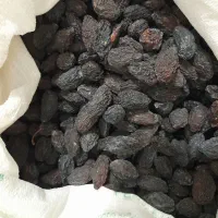 آلو خشک شیرین