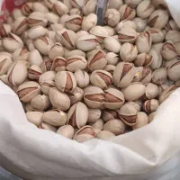 پسته امسالی