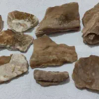 سنگ های کلکسیونی و عقیق|جواهرات|شیراز, جوادیه|دیوار