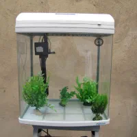 آکواریم ماهیران