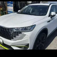 شوال h6 سفید صفرخشک