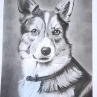 نقاشی سیاه قلم کنته ذغال محو کن منظره روی مقوا الر