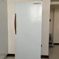 فریزر ایستاده پارس