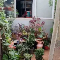 خانه-ویلایی-خانه-روستایی300-متر-با-سند-باغچه