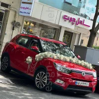 اجرا گل آرایی ماشین عروس در لوکیشن شما