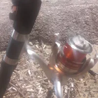 لنسر ماهیگیری