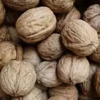 گرود تازه|عمده‌فروشی|اسدآباد, |دیوار