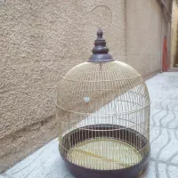 قفس پرندگان