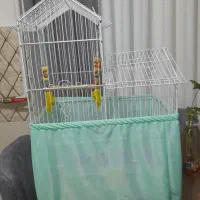قفس طوطی