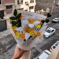 گل پیپ پاپی