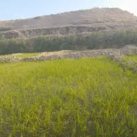 فروش-زمین-ابی