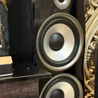 یک جفت باند خانواده