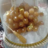 شاخه نبات