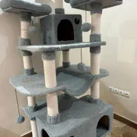 اسکرچر گربه هتل گربه ای|لوازم جانبی حیوانات|تهران, باغ خزانه|دیوار