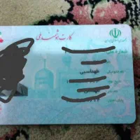 کارت ملی محسن طهماسبی پیدا شده