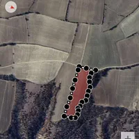فروش حدود یک هکتار  زمین کشاورزی دیم روستای فرنگ|فروش زمین و ملک کلنگی|گالیکش, |دیوار