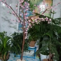 ساخت. انواع دکوراسیون خانه|صنایع دستی و سایر لوازم تزئینی|دوگنبدان, |دیوار