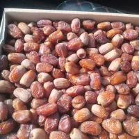 خرما پوپو|خوردنی و آشامیدنی|مهرستان, |دیوار